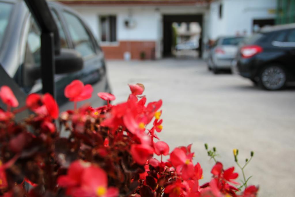 Hotel Santa Marta Pozzuoli Dış mekan fotoğraf